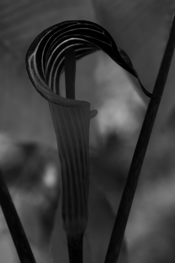 2012 05 08 2192ebw